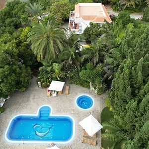 1 , Tijarafe España
